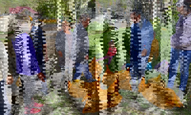 1C456d1e Ed50 46Cd 9A54 Feaf34e04421