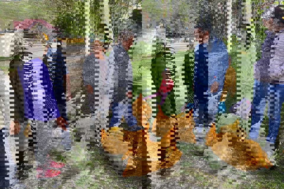 1C456d1e Ed50 46Cd 9A54 Feaf34e04421