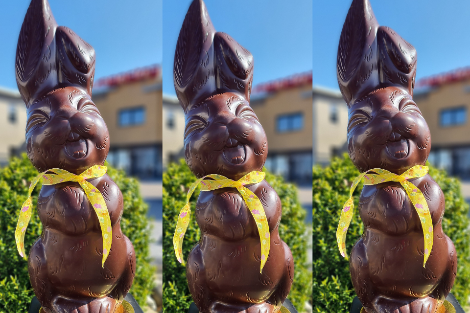 Ontwerp Zonder Titel (4) (1)