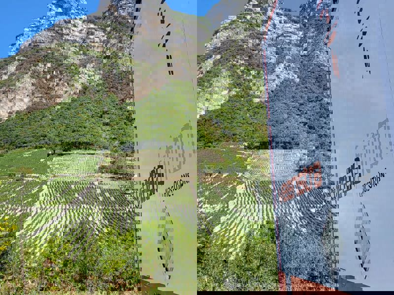 4A8ac311 6Ce6 4770 A4eb 4Eaecaaacb8d