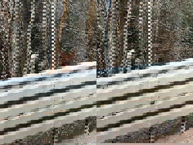 9Aa4973c 51D0 4638 9255 9Efa1eb6afff